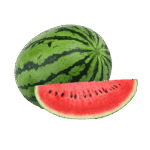 Watermelon Plant